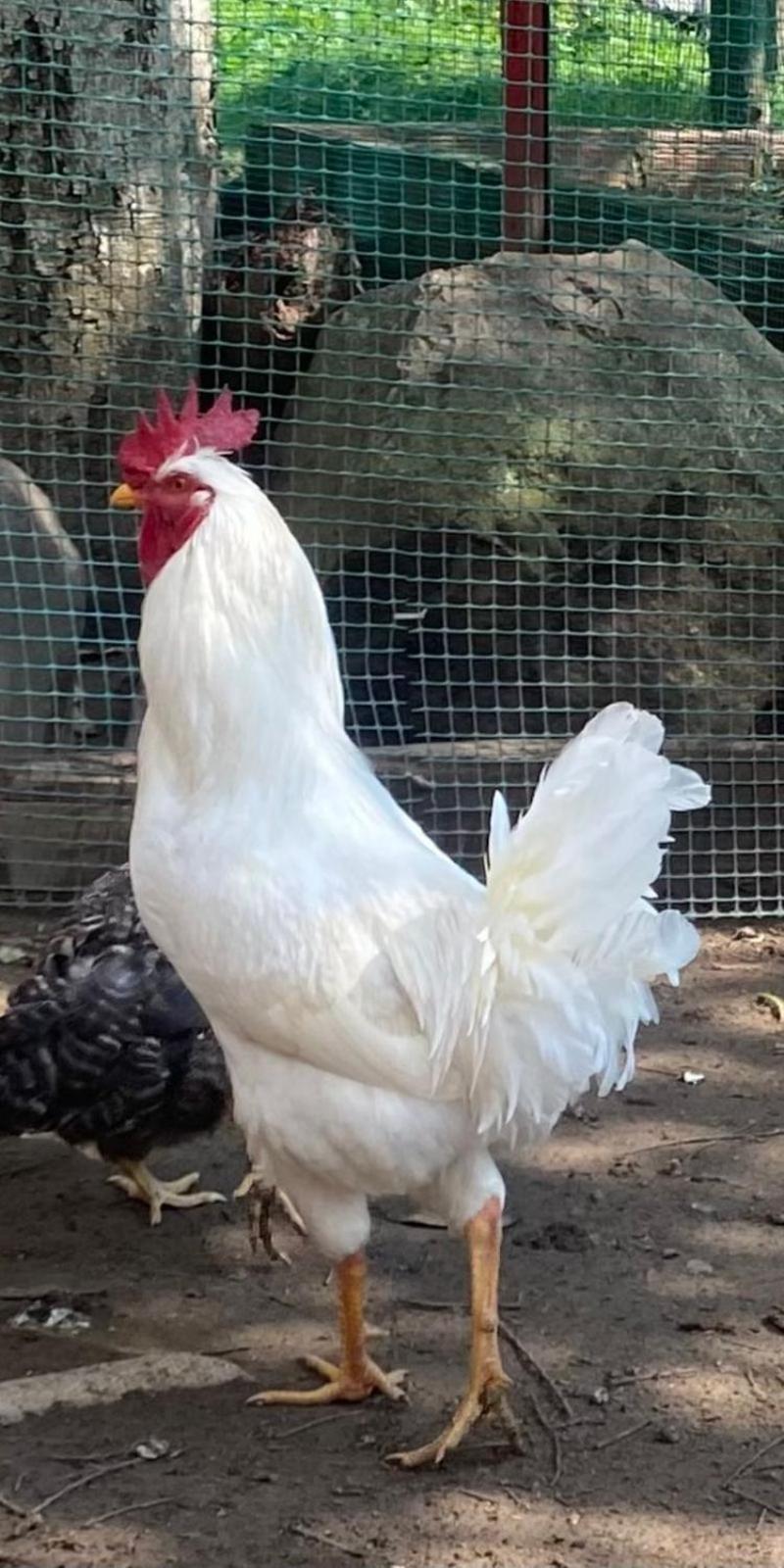 Hosteria Campestre San Fermin Ракіра Екстер'єр фото