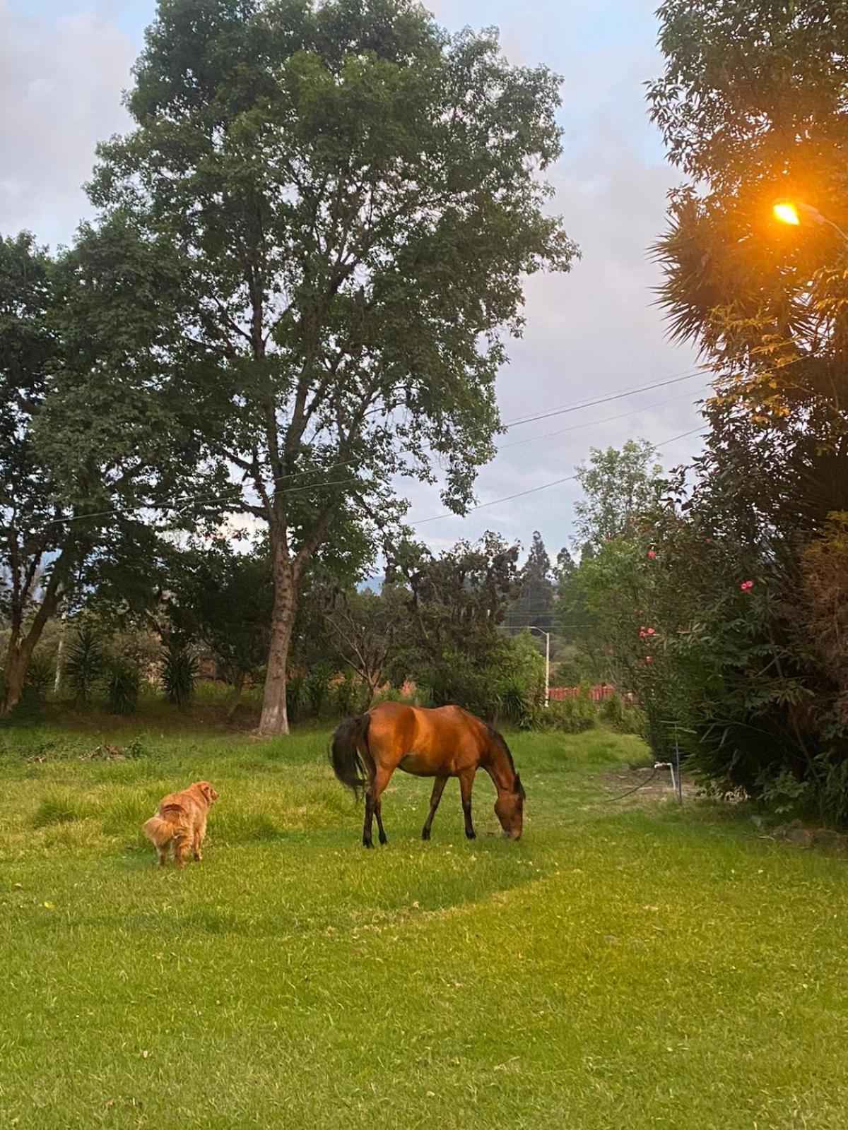 Hosteria Campestre San Fermin Ракіра Екстер'єр фото