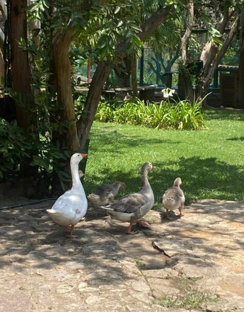 Hosteria Campestre San Fermin Ракіра Екстер'єр фото