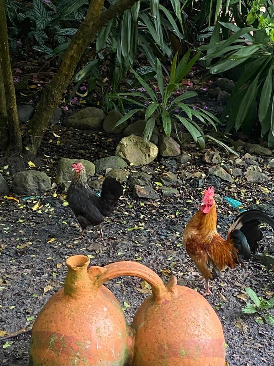 Hosteria Campestre San Fermin Ракіра Екстер'єр фото